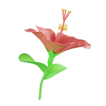 Hibiscus 3D Illustration