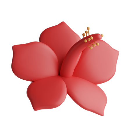 Hibiscus  3D Icon