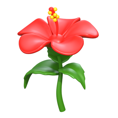 Hibiscus Flower  3D Icon