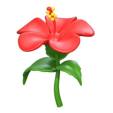 Hibiscus Flower 3 D Icon 3D Icon