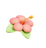 Hibiscus flower