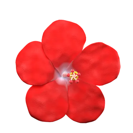 Hibiscus Flower  3D Icon