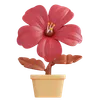 Hibiscus Flower