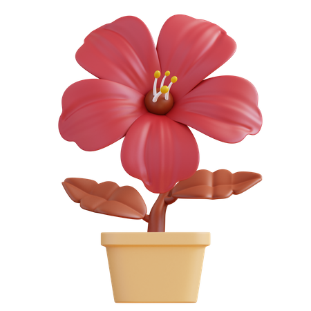 Hibiscus Flower  3D Icon