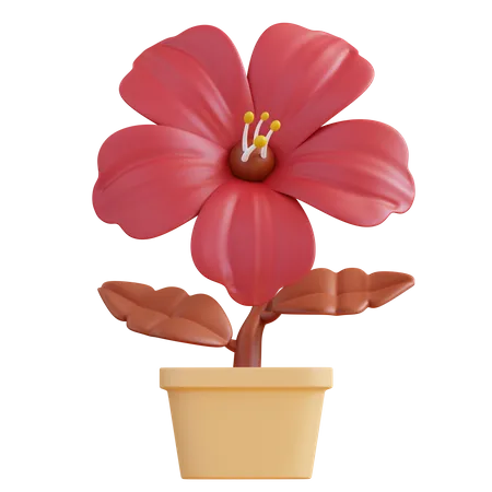 3 D Illustration Hibiscus Flower 3D Icon