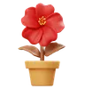 Hibiscus Flower Pot