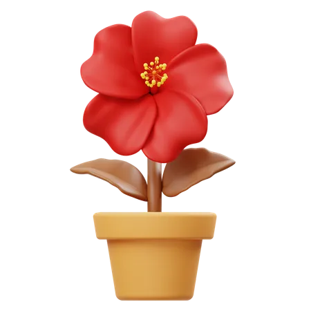 Hibiscus Flower Pot  3D Icon