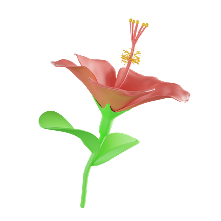 Hibiskus  3D Illustration