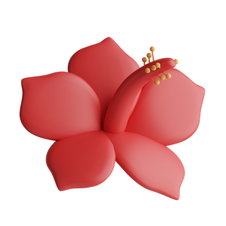 Hibiskus  3D Icon