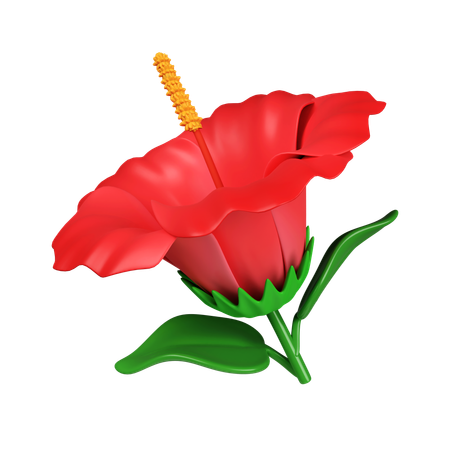 Hibiskus  3D Icon