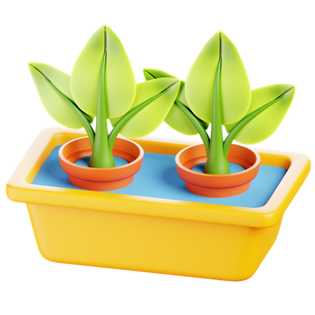 Hidroponia  3D Icon