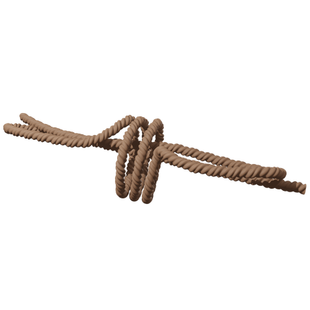 Hiking Rope  3D Icon