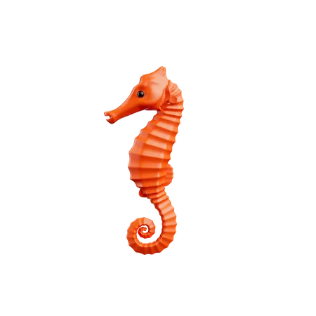 Hippocampe  3D Icon