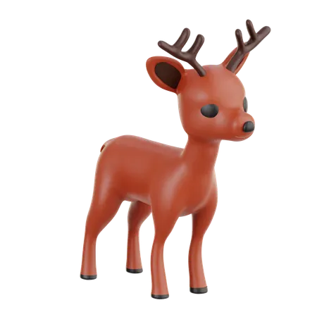 Reh  3D Icon