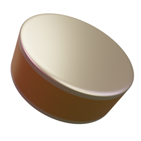 Hockey Puck  3D Icon