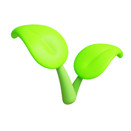 Hoja  3D Icon