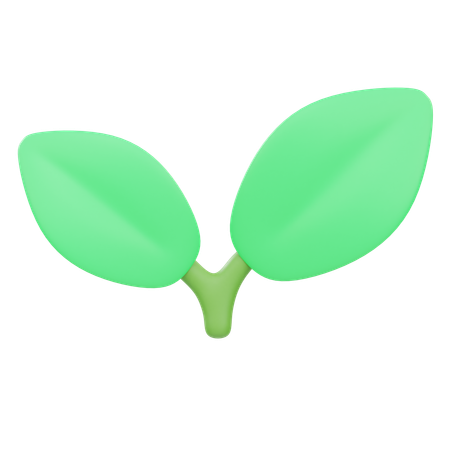 Hoja  3D Icon