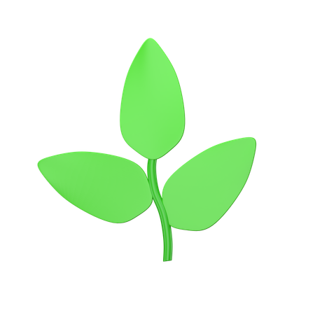 Hoja  3D Icon