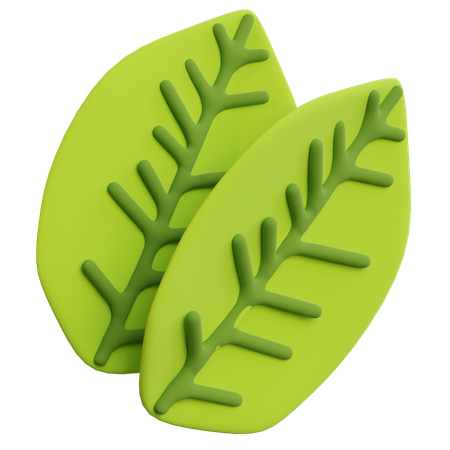 Hoja  3D Icon