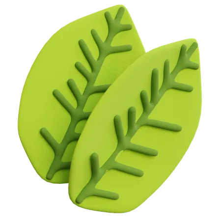 Hoja  3D Icon