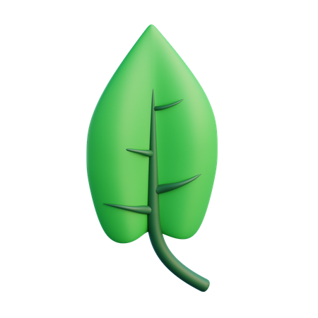 Hoja  3D Icon