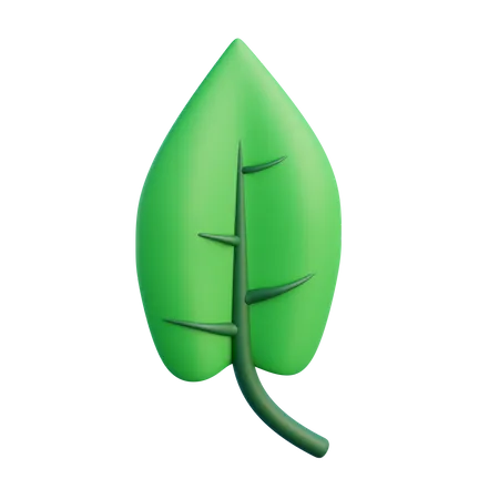 Hoja  3D Icon