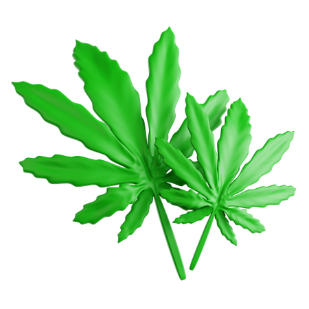 Hoja de cannabis  3D Icon