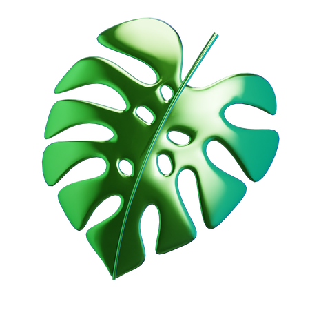 Hoja de monstera  3D Icon