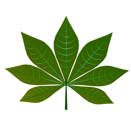 Hoja de yuca  3D Icon