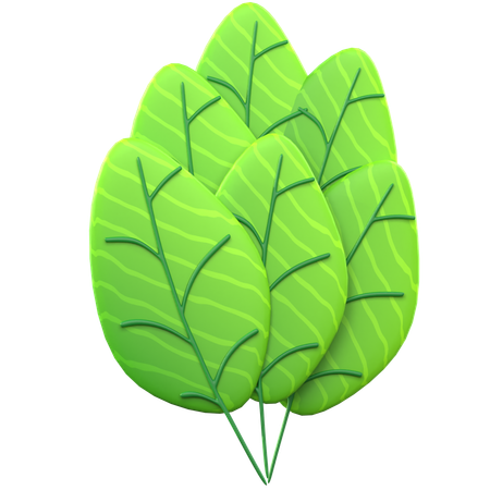 Hoja verde  3D Icon