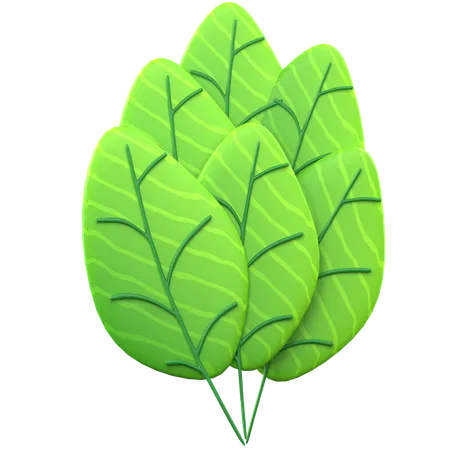 Hoja verde  3D Icon