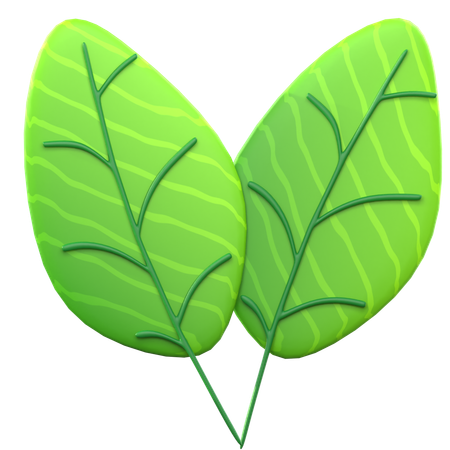 Hoja verde  3D Icon