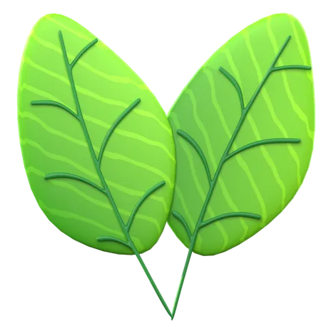 Hoja verde  3D Icon