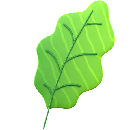 Hoja verde  3D Icon