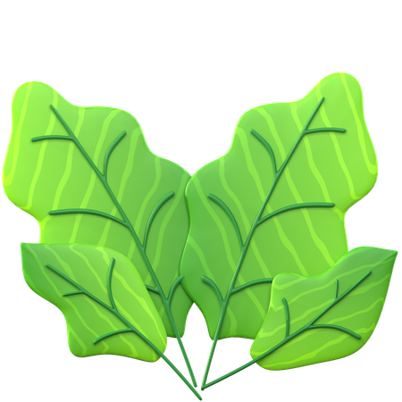 Hoja verde  3D Icon