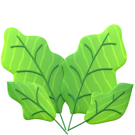 Hoja verde  3D Icon