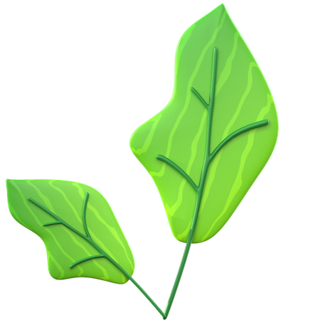 Hoja verde  3D Icon