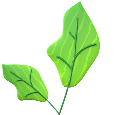 Hoja verde  3D Icon