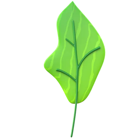 Hoja verde  3D Icon