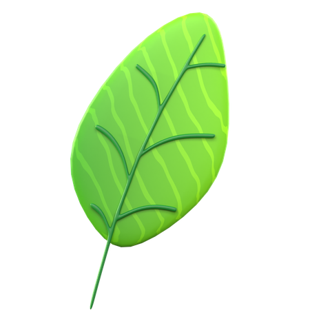 Hoja verde  3D Icon