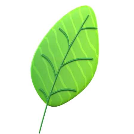 Hoja verde  3D Icon