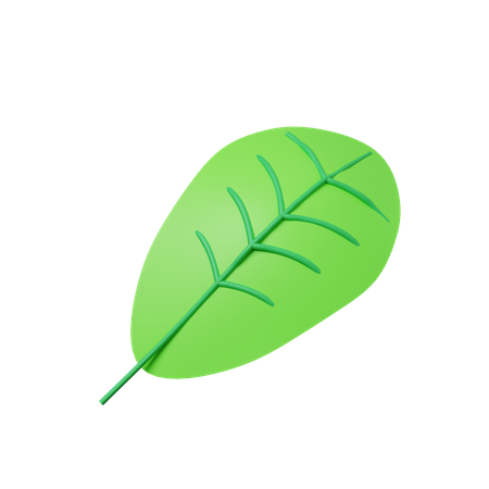 Hoja verde  3D Illustration