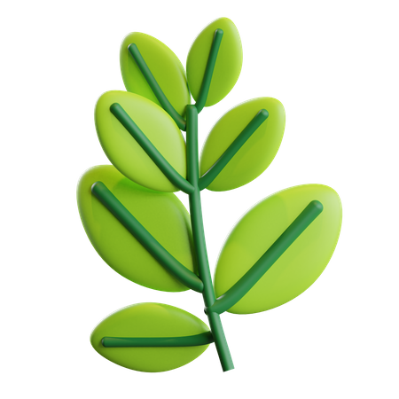 Hojas  3D Icon