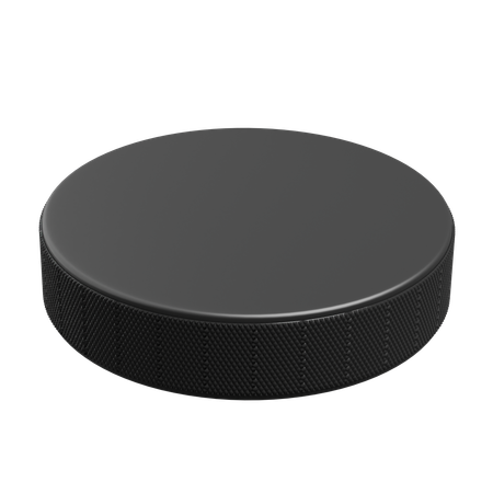 Hokey Puck  3D Icon