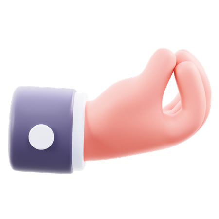 Hold Hand Gesture  3D Icon