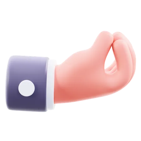 Hold Hand Gesture  3D Icon