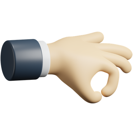 Hold hand gesture  3D Icon