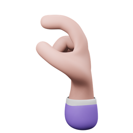 Hold Hand Gesture  3D Icon