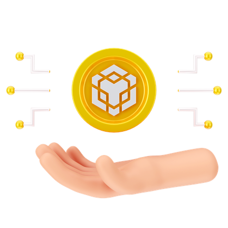 Holding Binance Coin  3D Icon