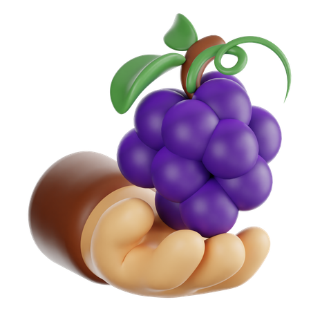 Holding Grapes  3D Icon